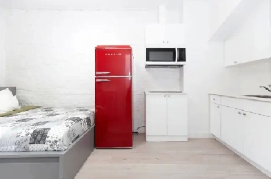 Furnished Studio - Downtown Image# 8