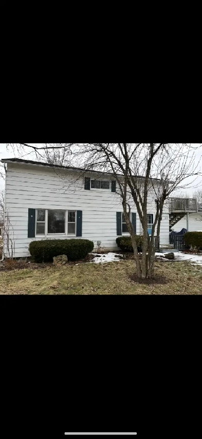 House for Rent in Petrolia Image# 5