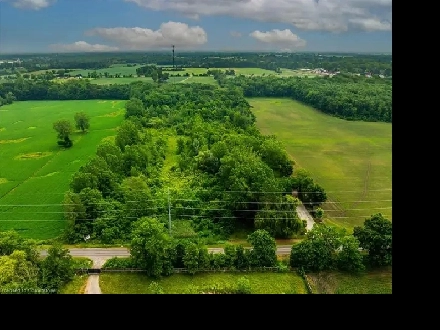 11 ACRE LAND FOR SALE IN WAINFLEET! Image# 6