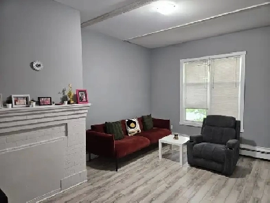 August 1st New Reno Large Nice Bright One BR & Den Quinpool Rd Image# 9