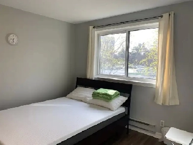Private Room for Rent Image# 4