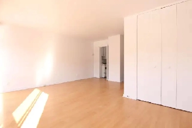 Studio apartment in beautiful Outremont - ID 4020 Image# 1