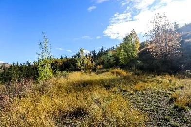 481 Clough Rd.  MLS 175087KA 4.21 Acres Image# 5