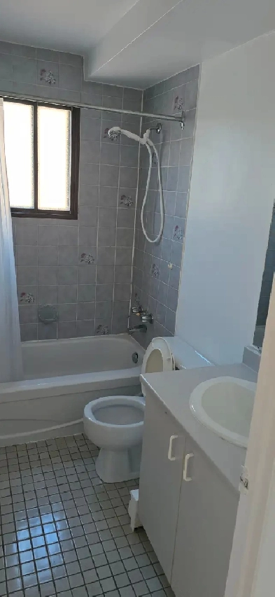Delson, Très beau 4 1/2 a louer 1250$/ mois libre immédiatement Image# 1