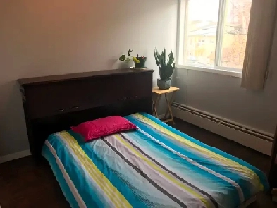 Affordable Yellowknife Downtown Apartment Room Available August Image# 1