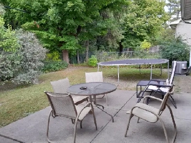 Avg$640, 5bd 2 bth House, Walk to Algon.Coll, Student Welcome Image# 8