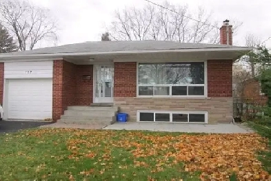 Large 3BR Main Floor - Martin Grove/Rexdale Blvd Image# 4