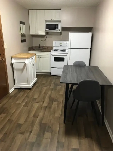 SASKPOLYTECH STUDENTS, 1 BDRM SUITES, 8 WEEK TENANCIES Image# 4