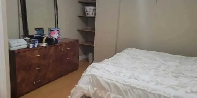 Basement for rent Image# 5