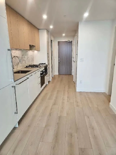 Brand New Never Lived In 1Br/1Ba Unit for Rent - $2350 Image# 3