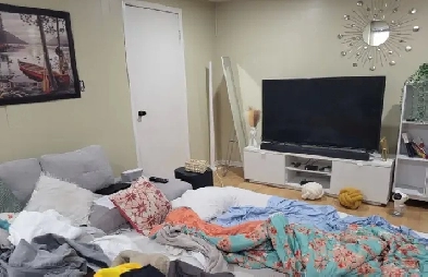 1 br basement Apt Image# 3