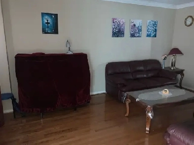 Homestay room available in Richmond Hill Image# 1