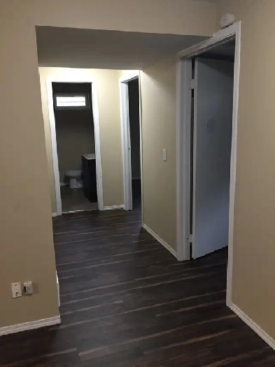 Clean, spacious, bright 2-bedroom suite in popular Capitol Hill Image# 3