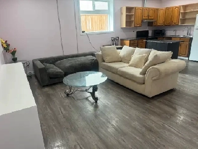 2 bedrooms walkout basement for rent Image# 7