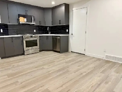 2 Beds 2 Baths Basement Apartment Image# 9