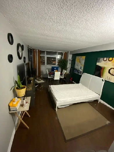 Room for rent in condominium at Finch andWarden (female only) Image# 3