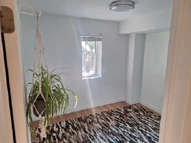 Room for Rent Image# 1