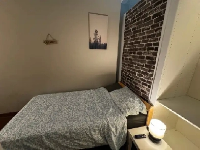 Downtown Room – Walk to C-Train & Parks, $650 All-In! Image# 5
