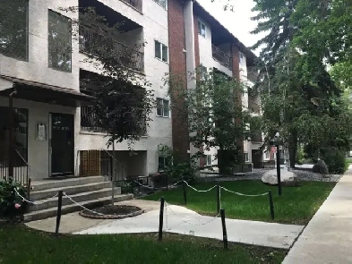 Apartment near U of A/ Whyte Ave Image# 8