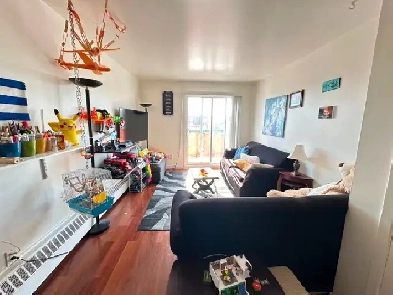 Appartement 3.5 à louer – Longueuil Image# 4