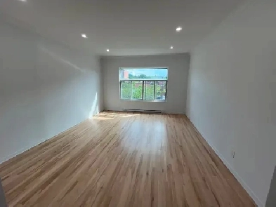 LARGE BRIGHT 5½, 2 BEDROOM APT. PARK AVENUE MILE-END/PLATEAU Image# 3