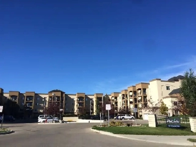 Beautiful 3 bedroom CONDO in Sherwood Park Image# 9