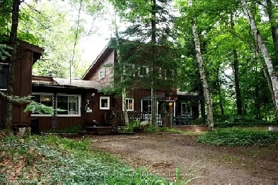 LONG LAKE'S TURN-KEY RUSTIC LARGE FAMILY HOME Image# 8