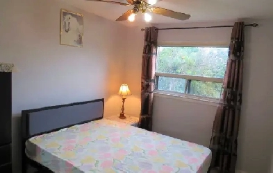 Malton room for rent, Females house, Main floor Image# 1