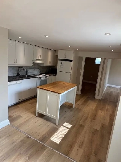 Newly renovated north end two bedroom apartment Image# 1