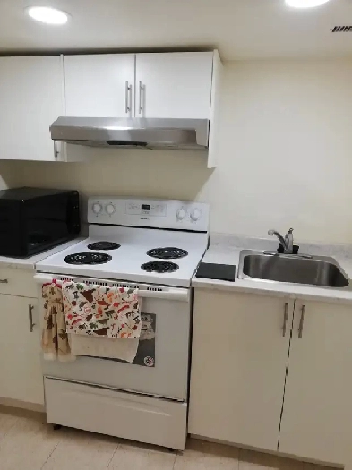 Newly Renovated 1 Bedroom Bsmt Suite 5 Min Walk to Anderson LRT Image# 7