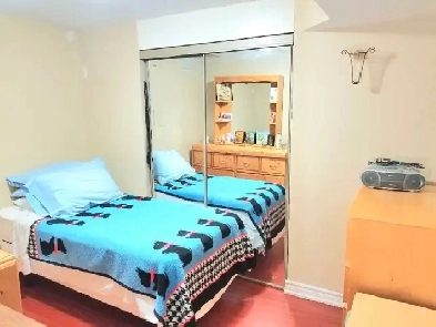 1 Bedroom Basement Apartment In Mississauga Image# 1