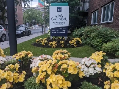 Sublet short term near university of Montreal Image# 2