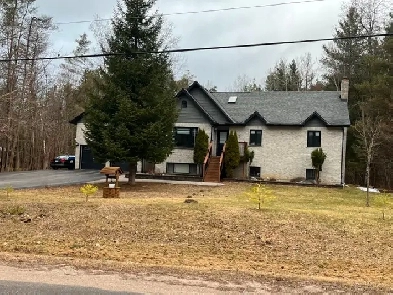Bright Spacious 2 bedroom basement apartment Image# 1
