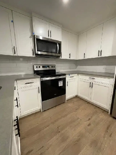 Two bedroom basement suite in Riverstone, Cranston SE Calgary Image# 4