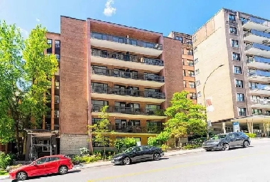 Spacious 2 Bedroom (4½) Apartment Near Concordia University Image# 7