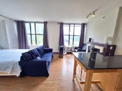 Furnished Studio With Den & WIFI and hydro included In Downdown Image# 1