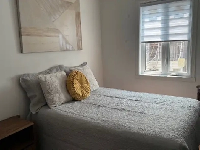 Chambre à louer pour Étudiant  à Montréal Image# 8