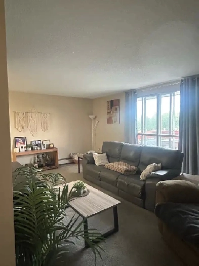 1 Bedroom Apartment Image# 9