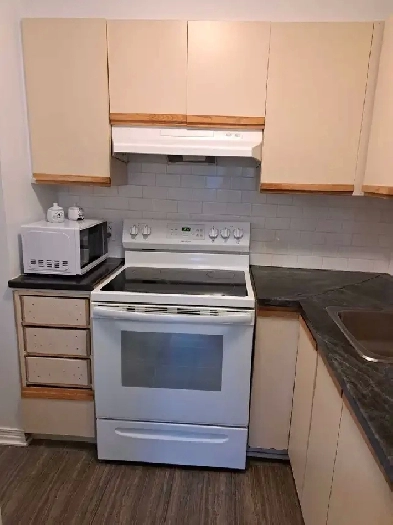 3 1/2 apartment Image# 2