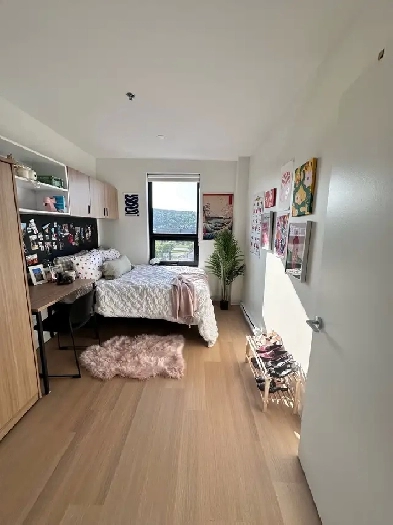3 bedroom apartment for rent right next to MUN! Image# 2