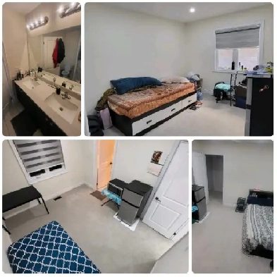 ROOM FOR RENT- ALLISTON Image# 1