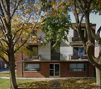 Rent fire share Image# 1