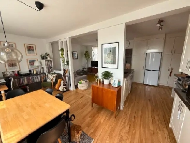 Grand et lumineux appartement dans Villeray Image# 18