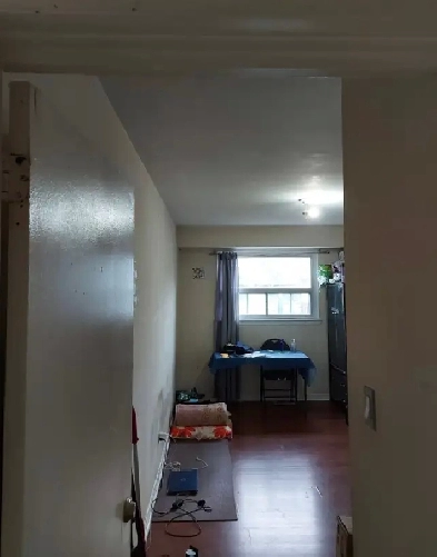 looking for boy to share the space with another boy in Malton Image# 2