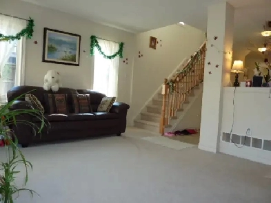 Bright, Cozy Basement– Close to Campus, Perfect for Students Image# 7