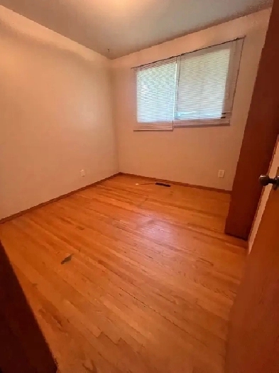 single room for rent Image# 1