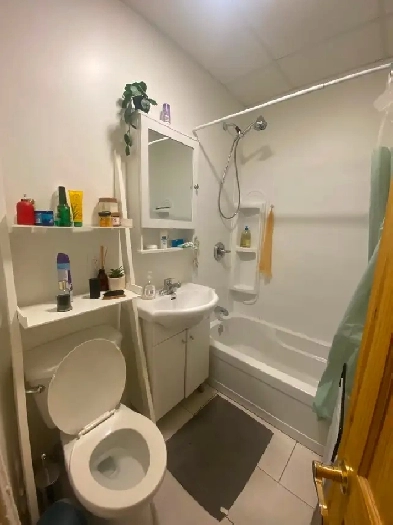 Chambre pièce double dans une collocation de 2 personnes Image# 5