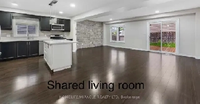 Rooms for rent in a spacious 4 bedroom detached house Image# 2
