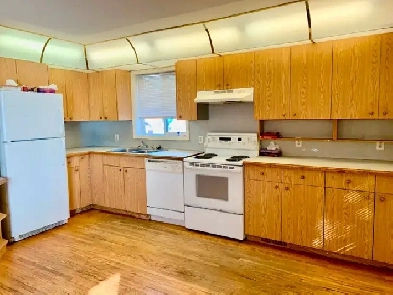 Close to NAIT 3 Bedrooms House Available NOW Image# 4