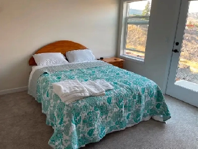 Fully Furnished Bachelor Suite Image# 1